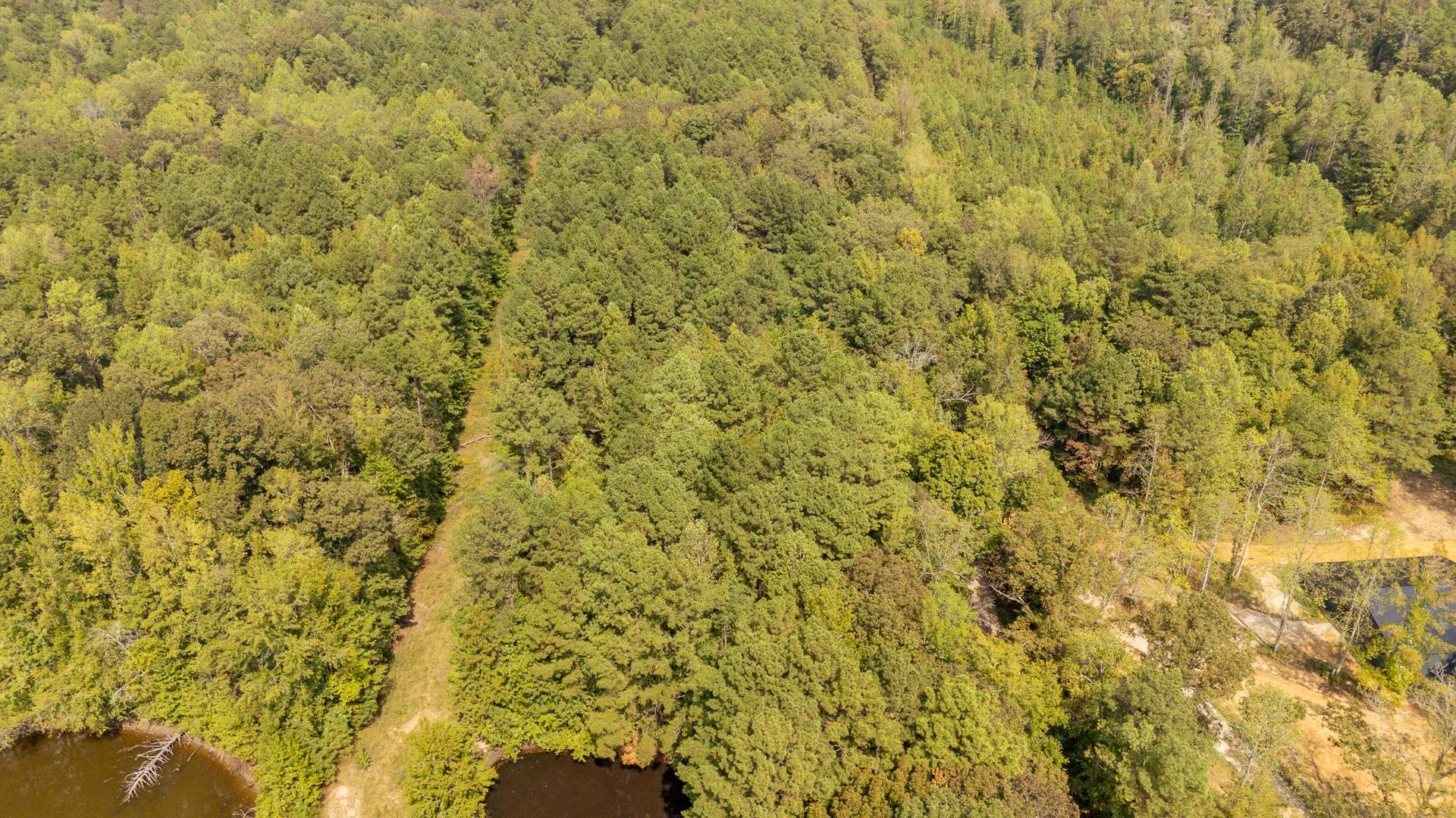 0 Small Road Morris Chapel, TN 38361 - Photo 11 of 15 Gallery Image 11