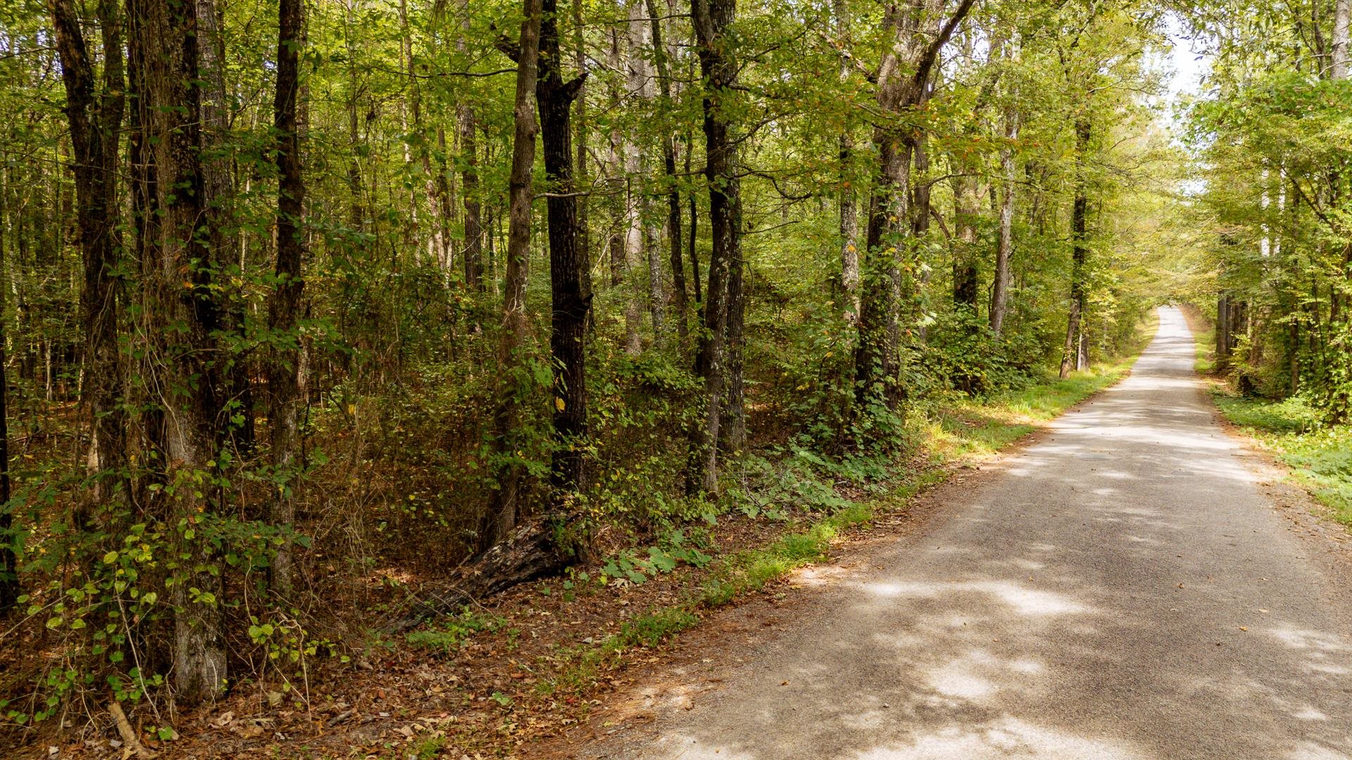 0 Small Road Morris Chapel, TN 38361 - Photo 14 of 15 Gallery Image 14