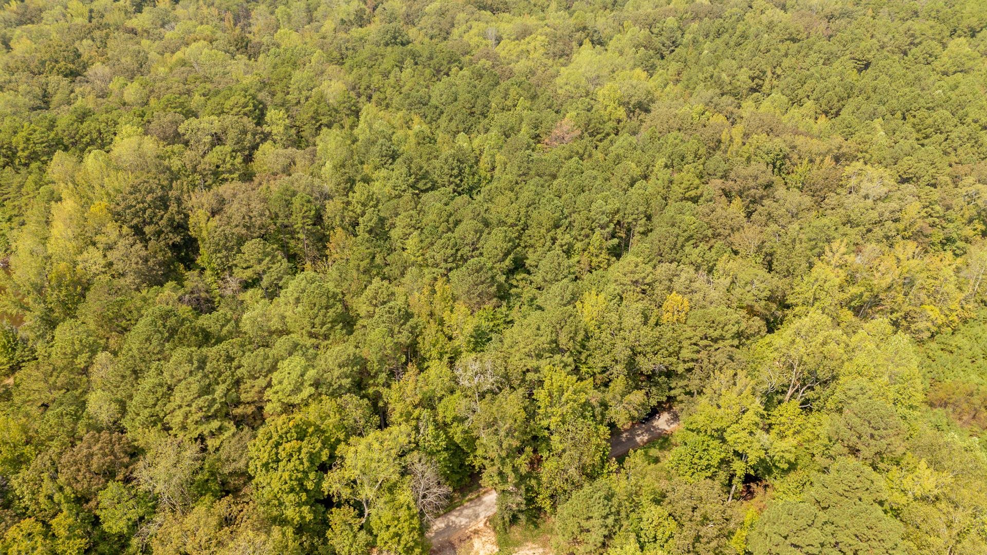 0 Small Road Morris Chapel, TN 38361 - Photo 2 of 15 Gallery Image 2