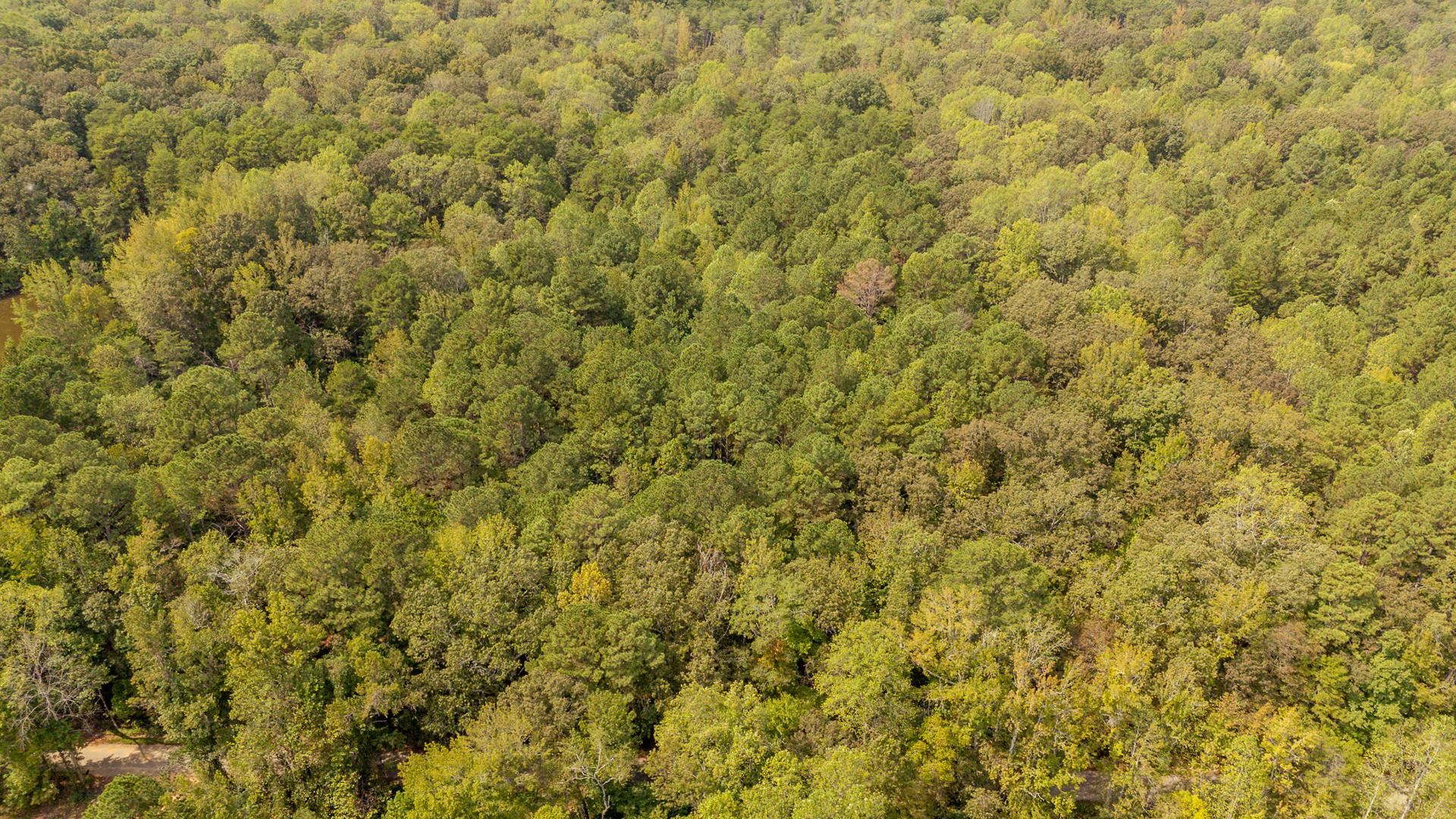 0 Small Road Morris Chapel, TN 38361 - Photo 3 of 15 Gallery Image 3