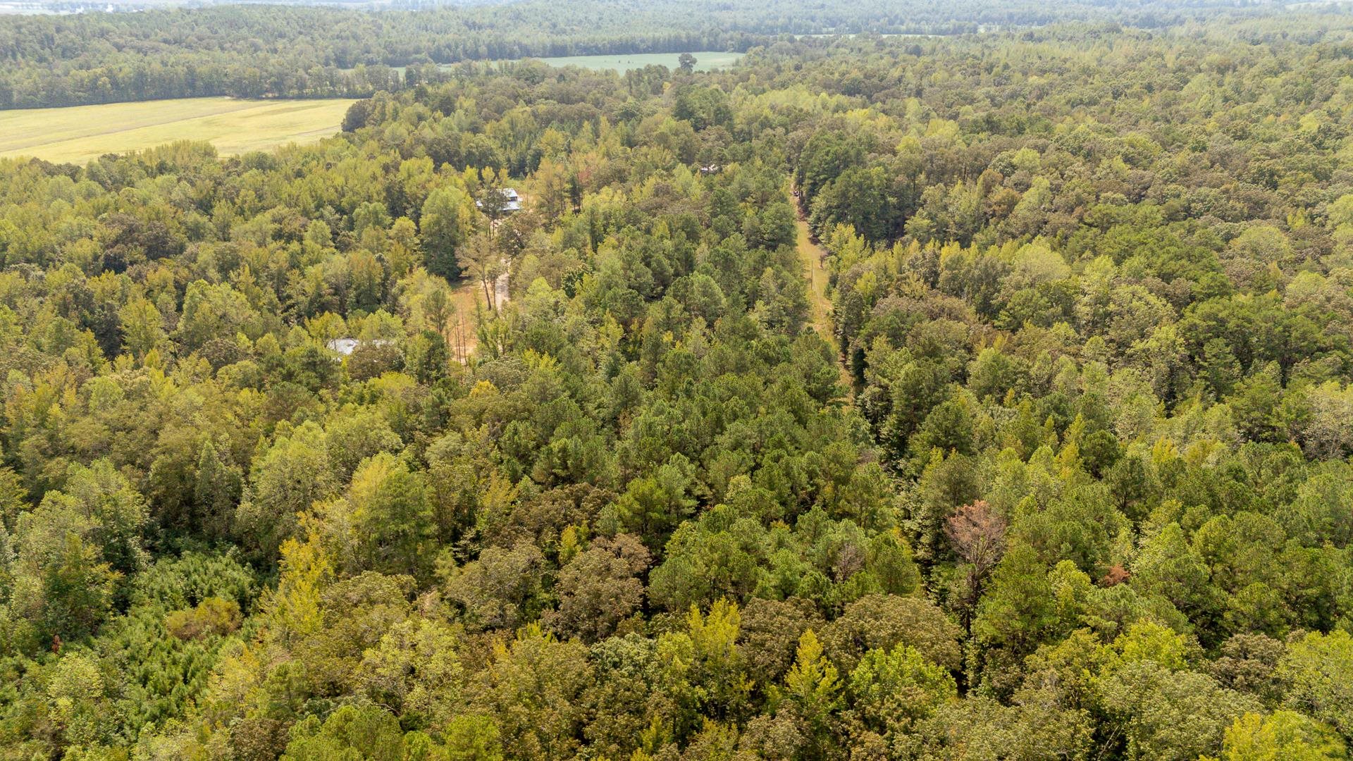 0 Small Road Morris Chapel, TN 38361 - Photo 5 of 15 Gallery Image 5