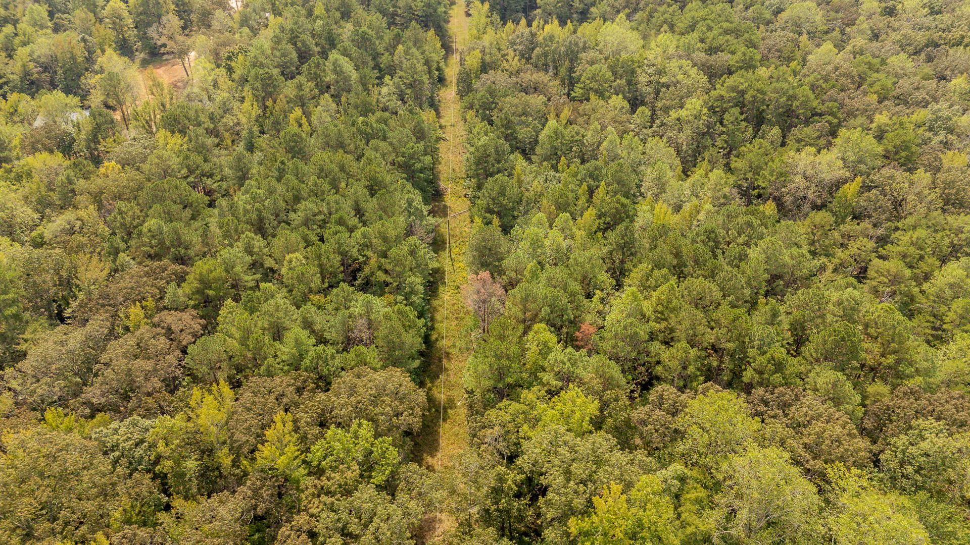 0 Small Road Morris Chapel, TN 38361 - Photo 7 of 15 Gallery Image 7