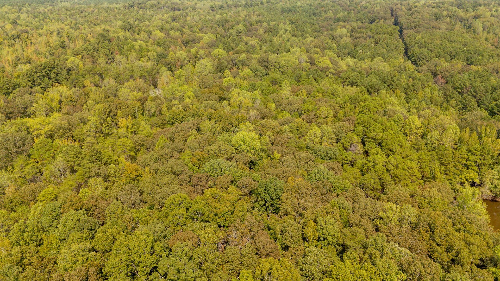 0 Small Road Morris Chapel, TN 38361 - Photo 8 of 15 Gallery Image 8