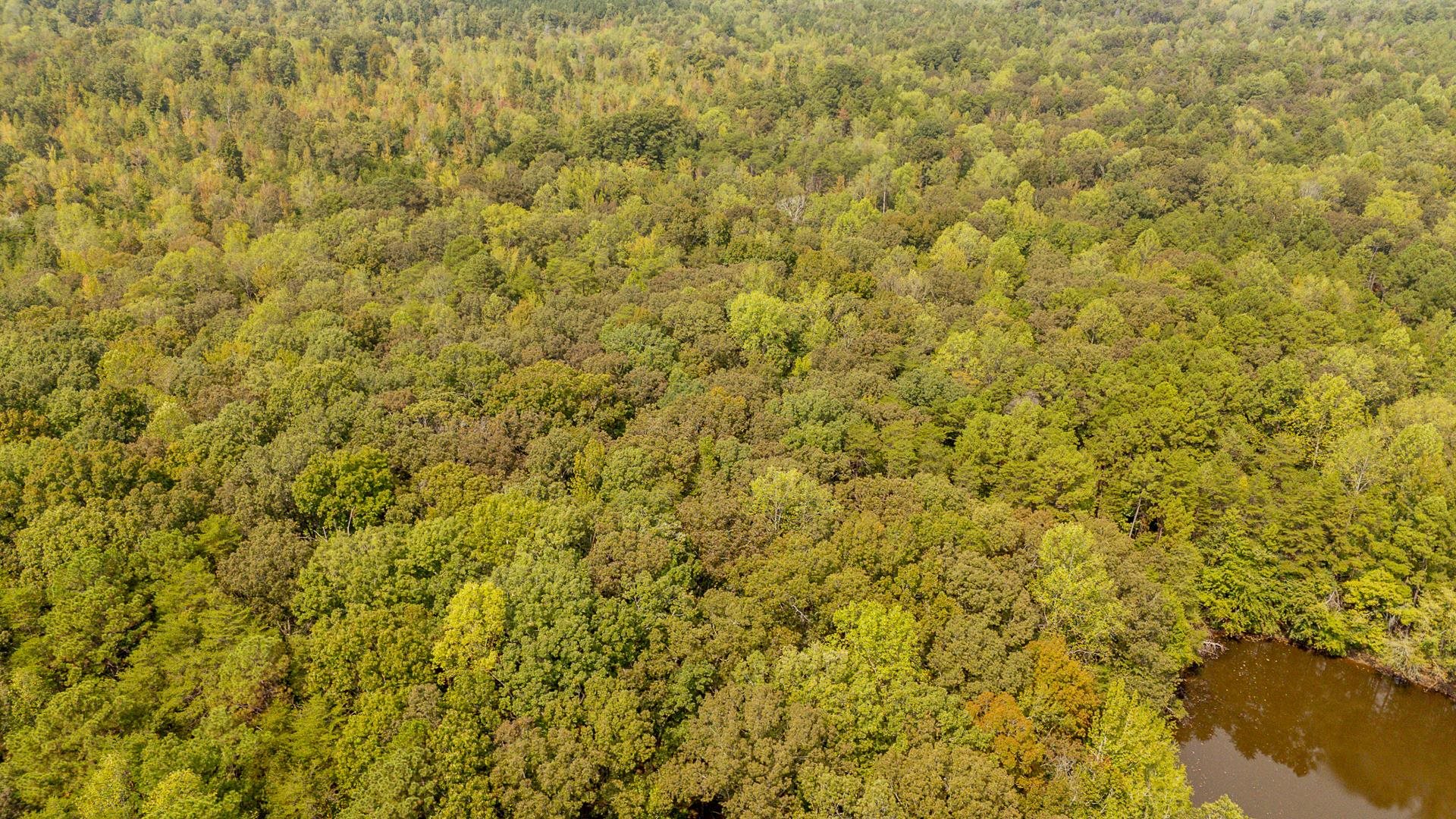 0 Small Road Morris Chapel, TN 38361 - Photo 10 of 15 Gallery Image 10