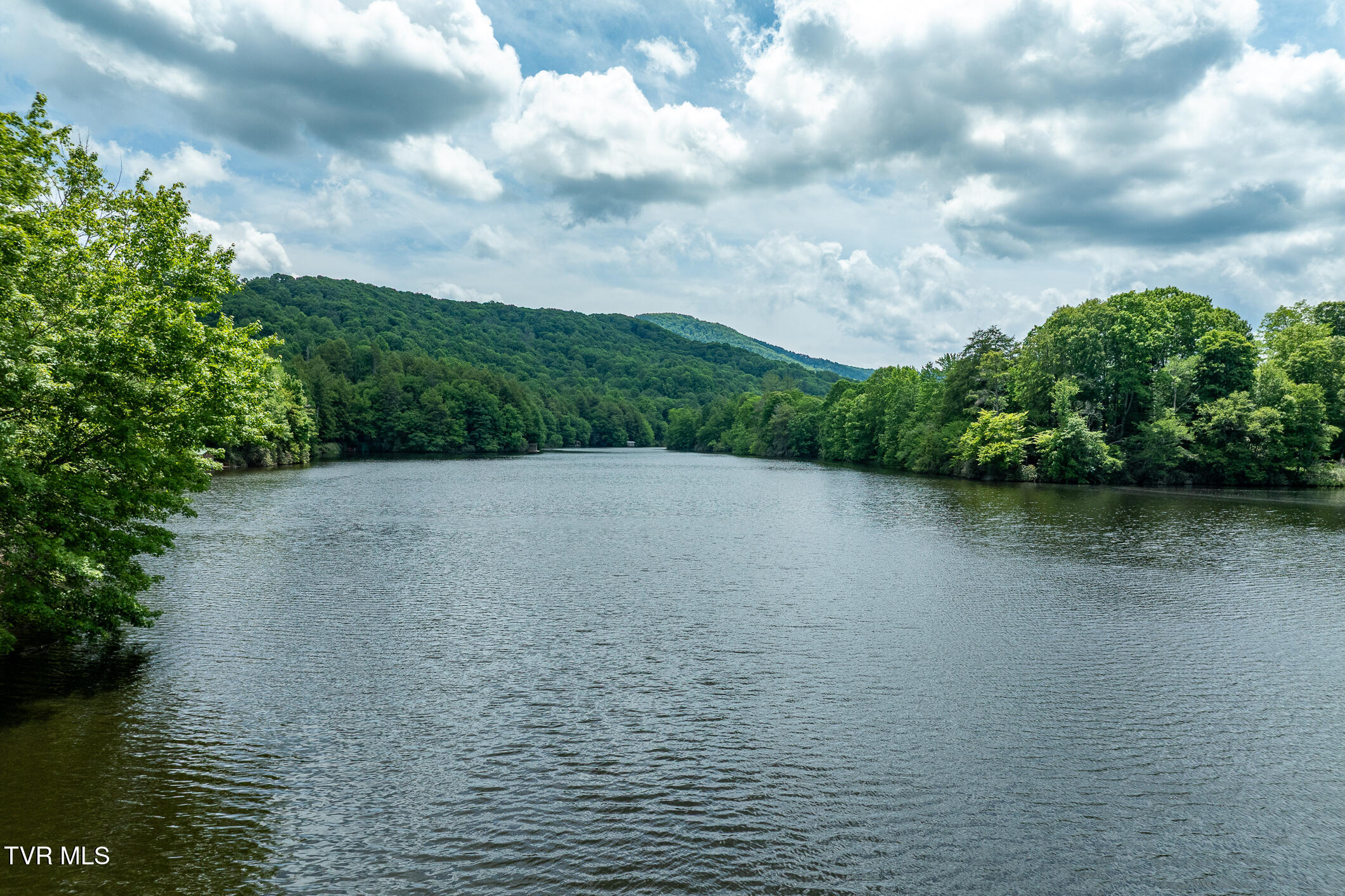206 Ripshin Lake Road Roan Mountain, TN 37687 - Photo 25 of 76 206 Ripshin Lake Road (21 of 101)