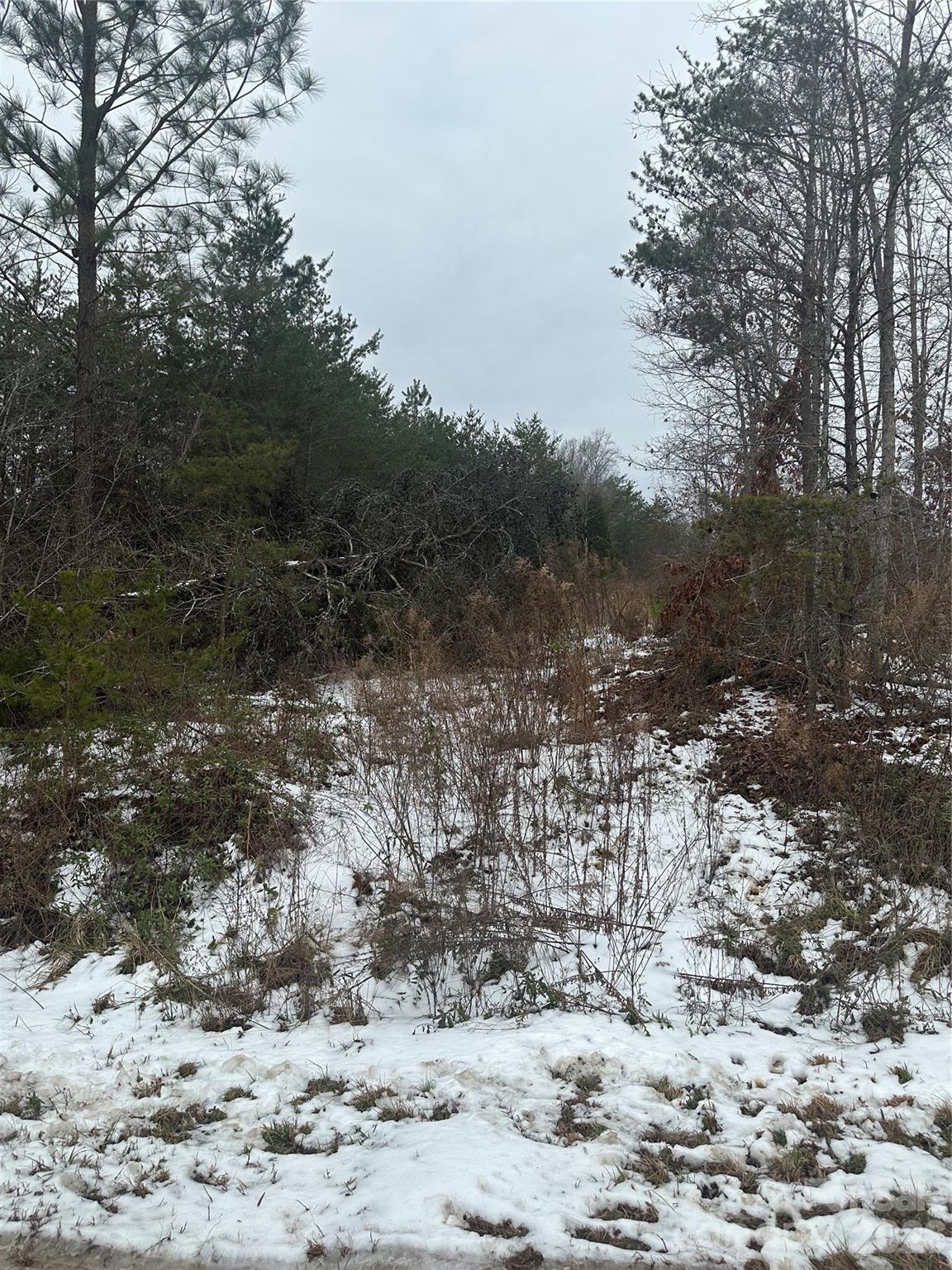 0 Norman Parker Road Lawndale, NC 28090 - Photo 2 of 4