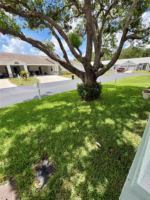 9221 Estrada Place New Port Richey, FL 34655 - Photo 2 of 16