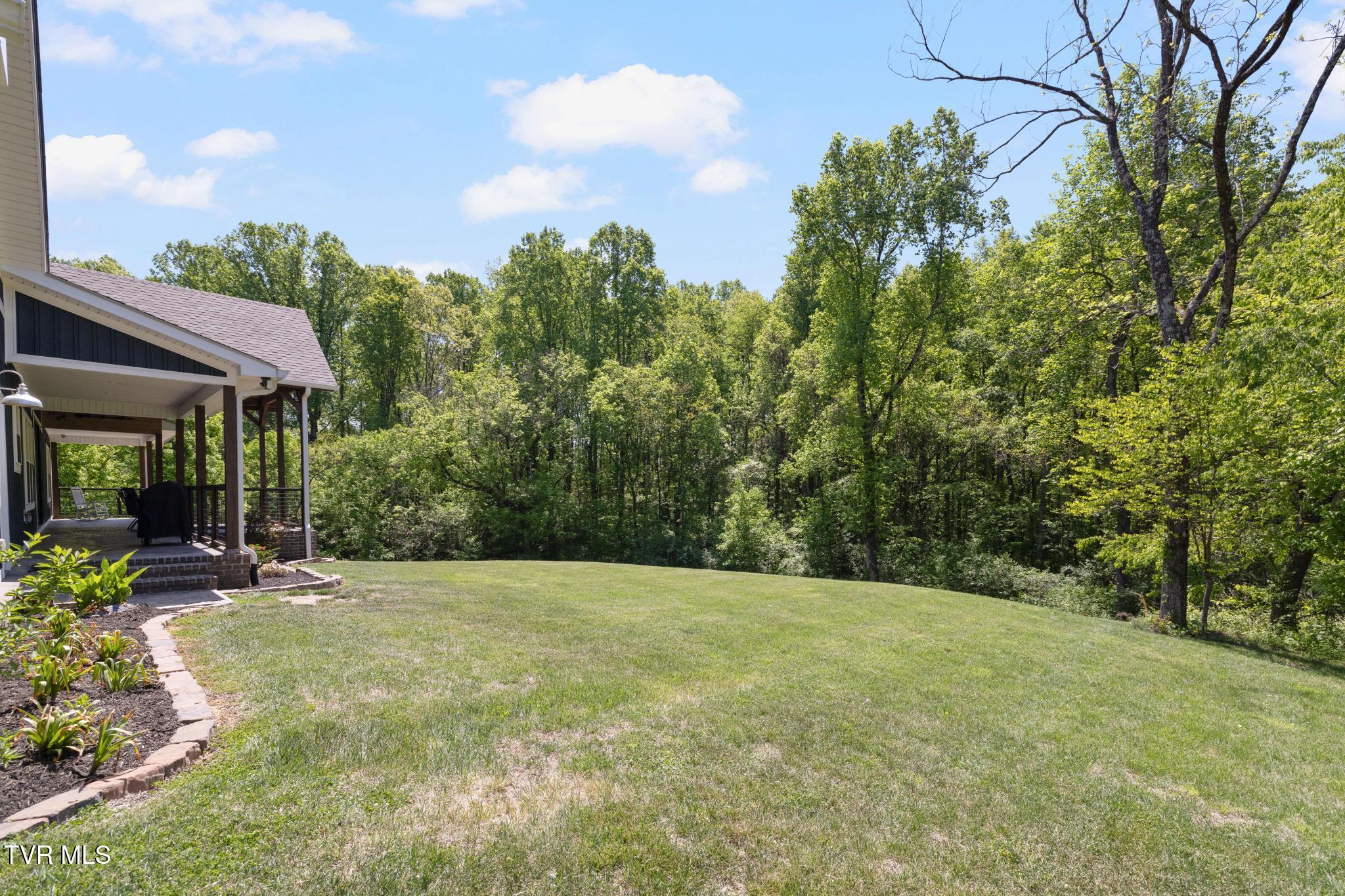 179 Taylortown Road Johnson City, TN 37601 - Photo 52 of 61 Back yard