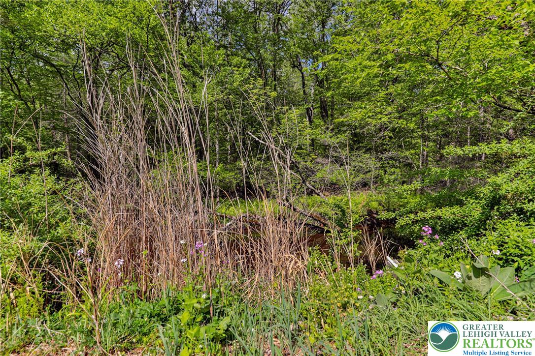 331 Cranberry Creek Road Cresco, PA 18326 - Photo 74 of 95 A tranquil natural setting with lush greenery and wildflowers, ideal for a private retreat.