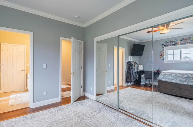 a view of a garden with plants and large trees