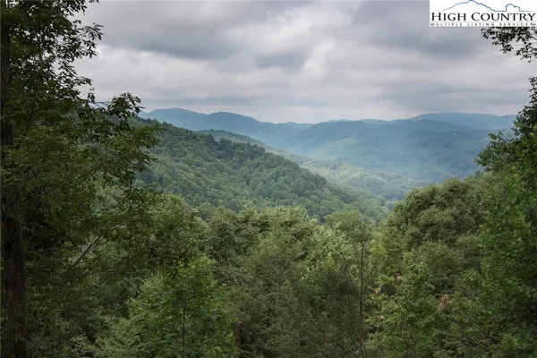 a view of a mountain range with a lush green forest