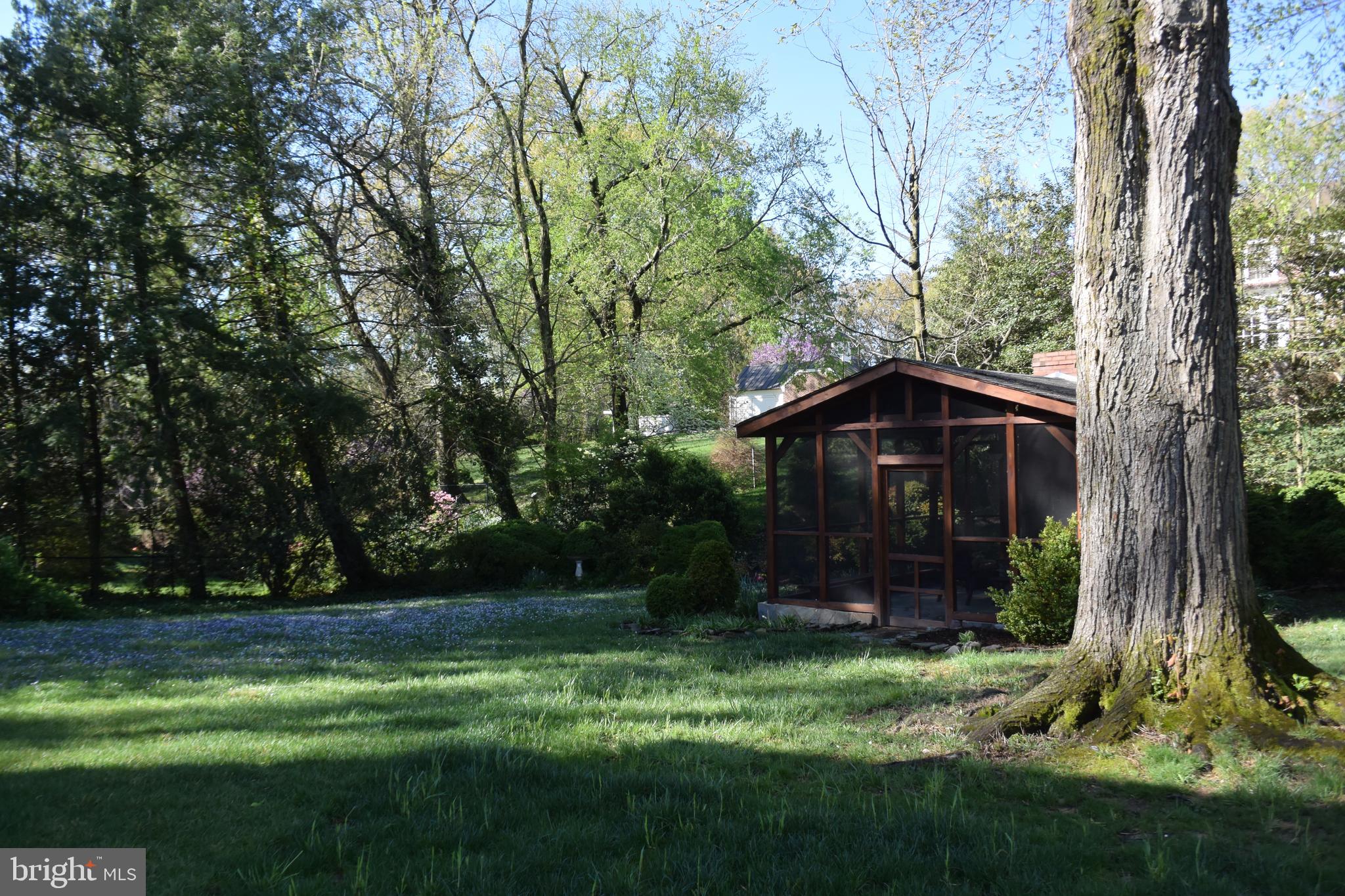 510 West Braddock Road Alexandria, VA 22302 - Photo 46 of 56 Back Yard