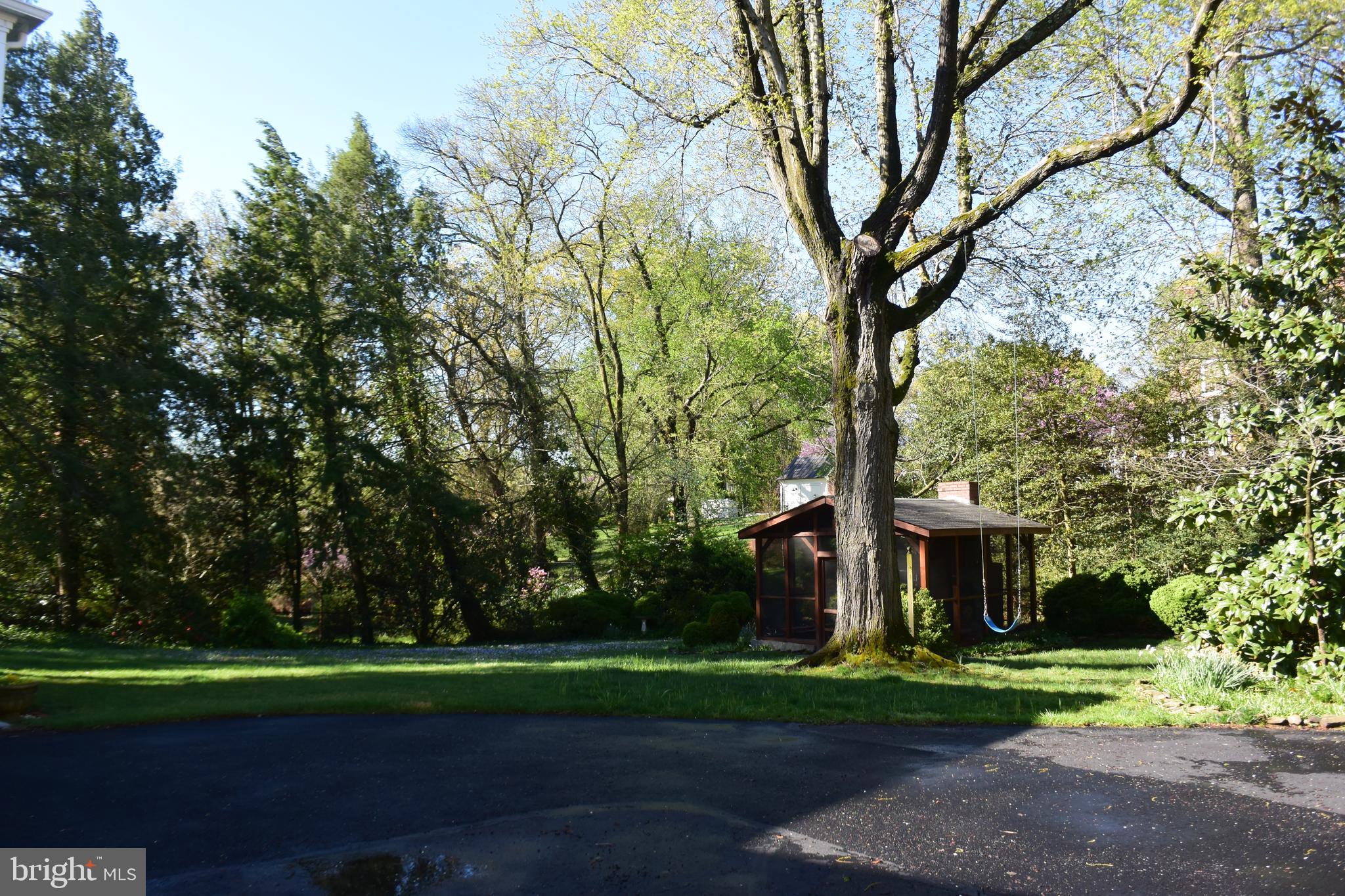 510 West Braddock Road Alexandria, VA 22302 - Photo 50 of 56 Back Yard