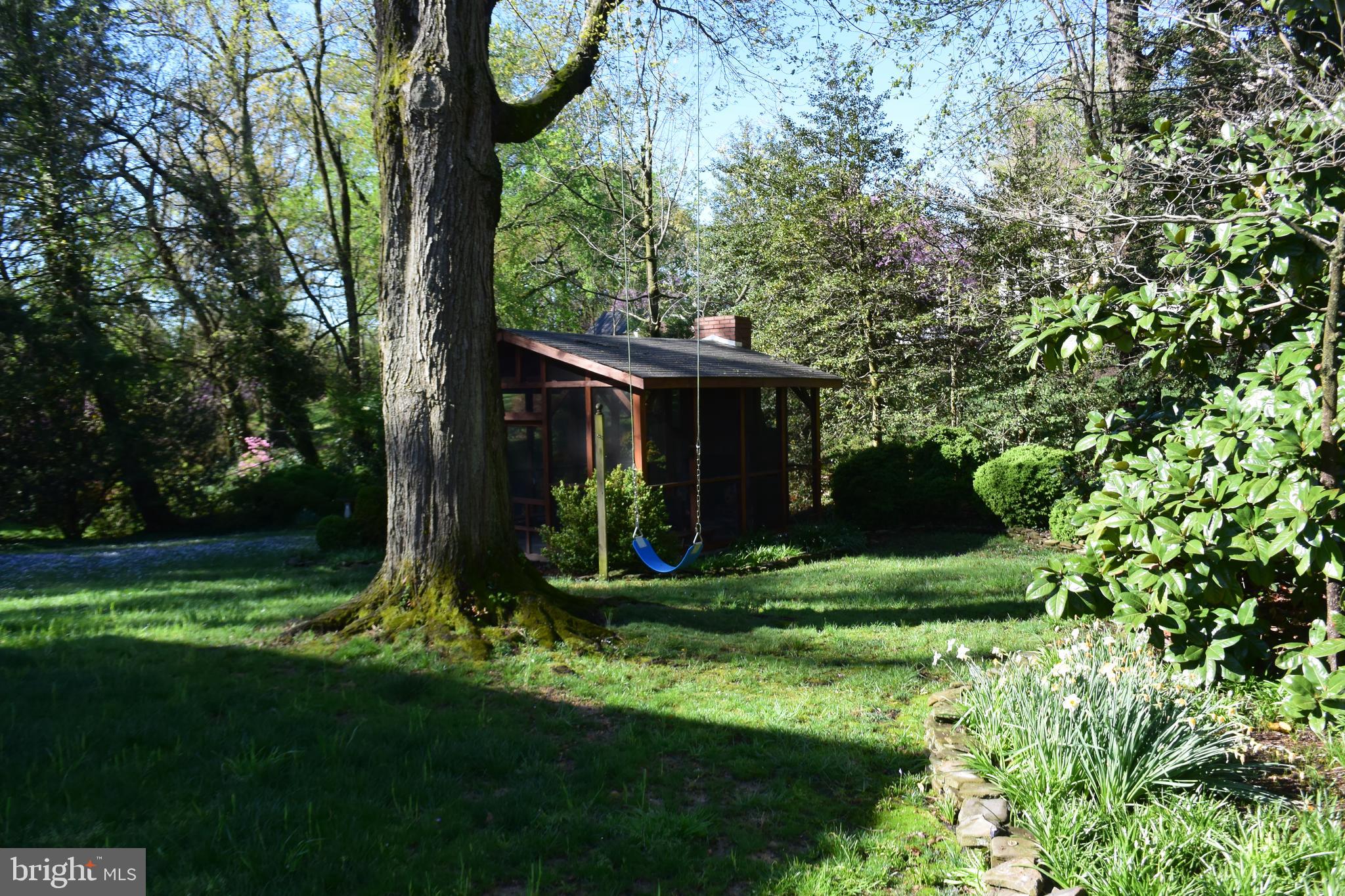 510 West Braddock Road Alexandria, VA 22302 - Photo 53 of 56 Back Yard