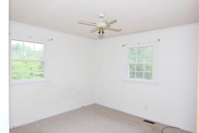 5455 Marion Road Cunningham, TN 37052 - Photo 5 of 12