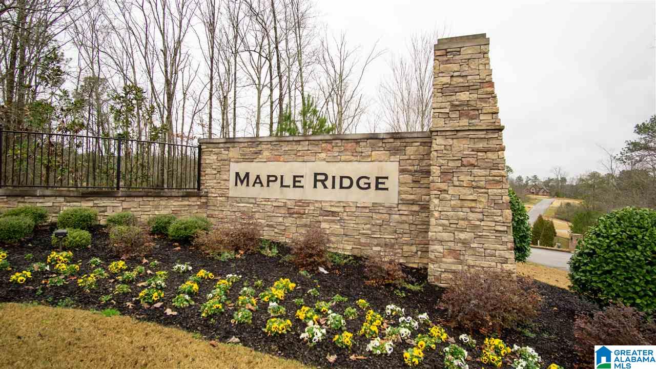 312 Logos Trace Alabaster, AL 35007 - Photo 34 of 35