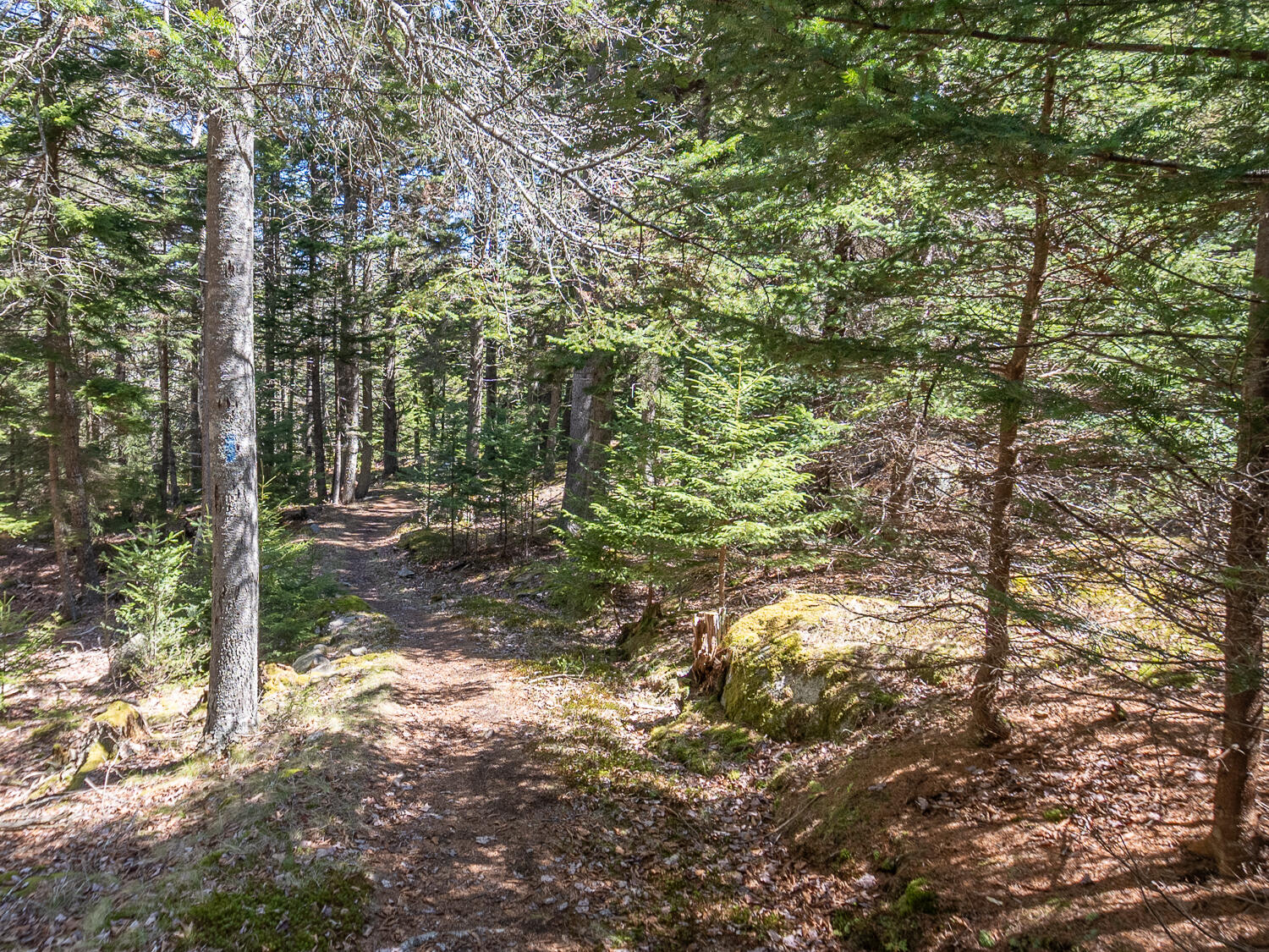 4 30 M/l North Road Swans Island, ME 04685 - Photo 3 of 9