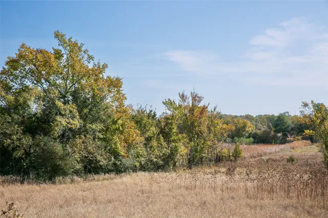 a view of a dry yard with trees in back