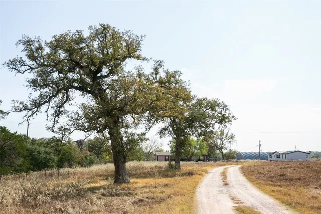 a view of a yard with trees