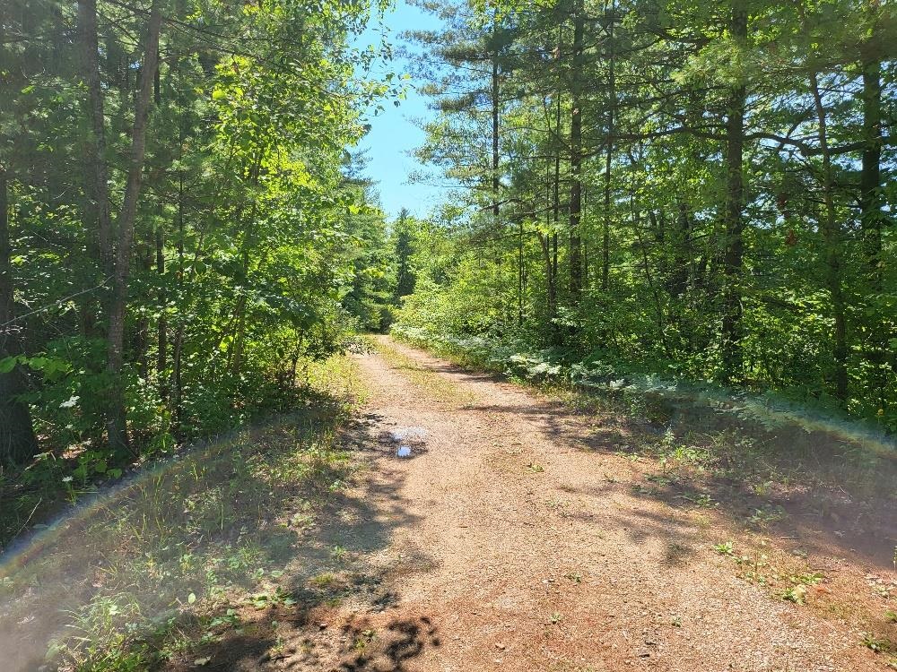498 West Ridge Road Gladwin, MI 48624 - Photo 5 of 13
