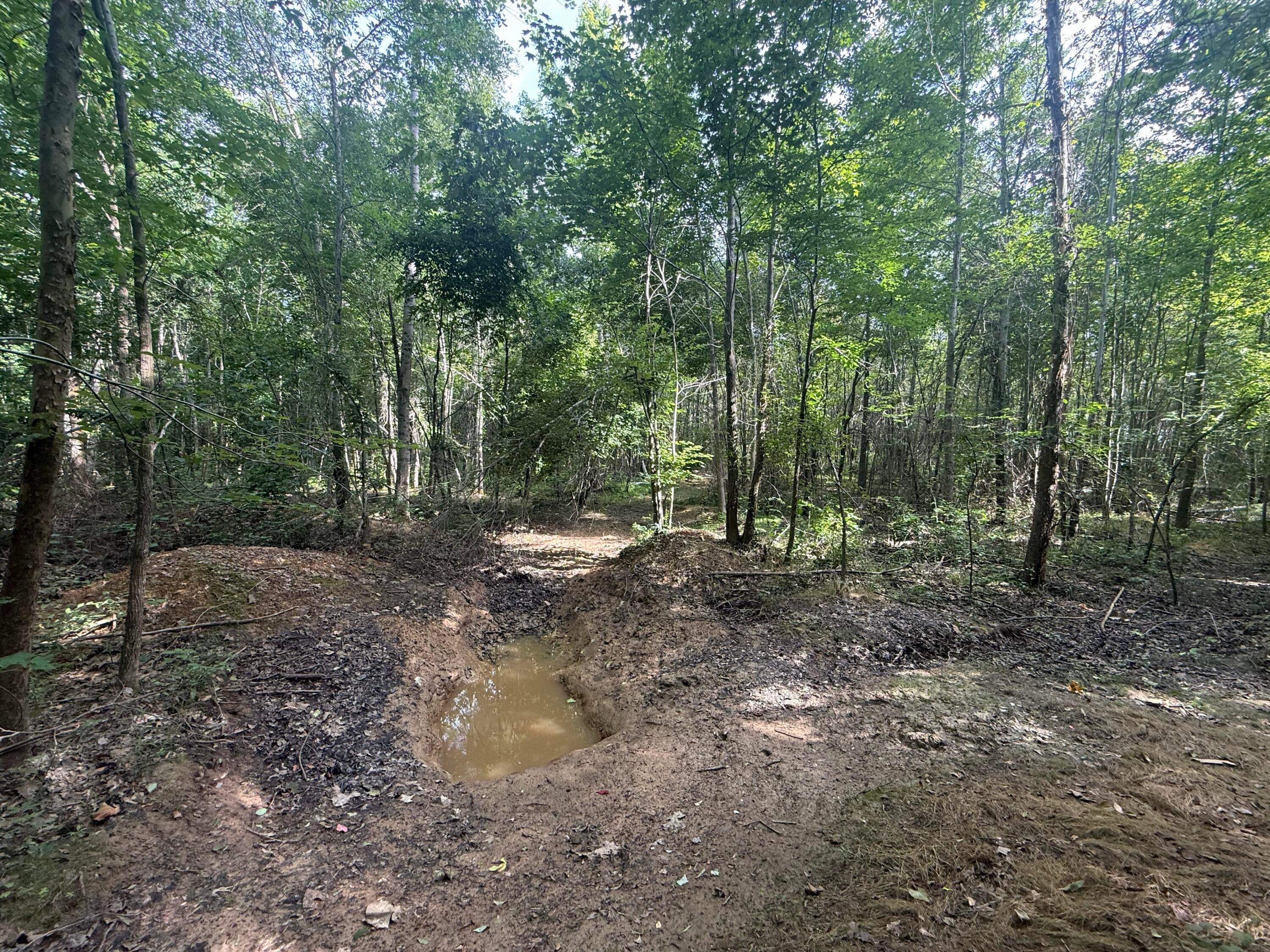 2275 Graham Road Thaxton, MS 38871 - Photo 7 of 17 Gallery Image 7