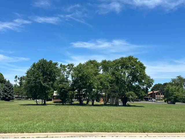 a view of a grassy field with trees
