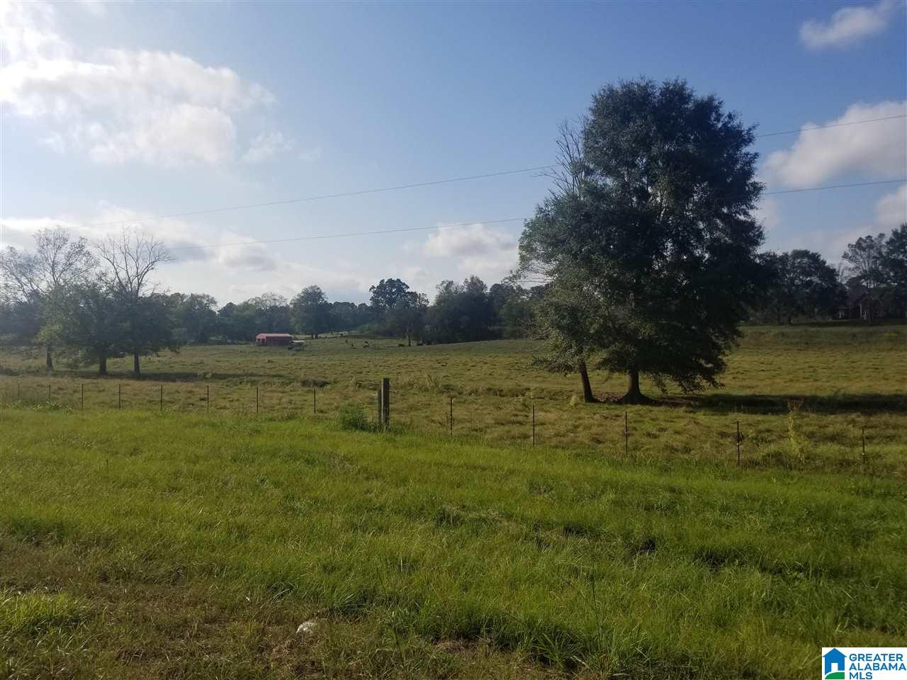 0 Highway 144, Unit 1 Ragland, AL 35131 - Photo 5 of 6