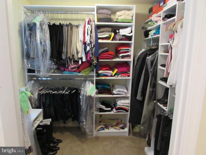 691 Twinbridge Drive Wayne, PA 19087 - Photo 23 of 25 Walk-in Closet