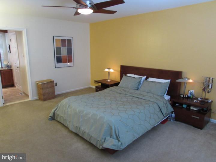 691 Twinbridge Drive Wayne, PA 19087 - Photo 9 of 25 Master Bedroom