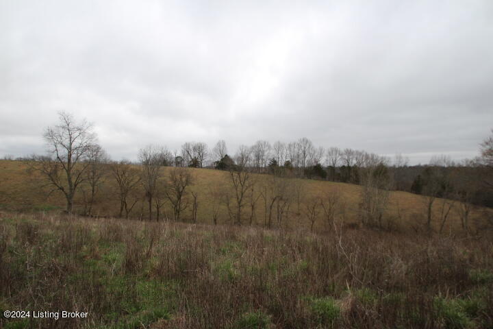 0 Timber Creek Road Lawrenceburg, KY 40342 - Photo 15 of 16 IMG_8058