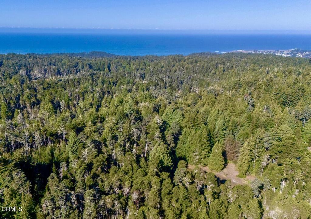 43535 Comptche Ukiah Road Mendocino, CA 95460 - Photo 2 of 12 So close to the Blue Pacific Ocean