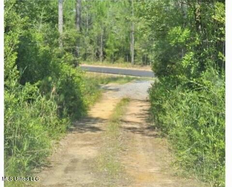 Road
