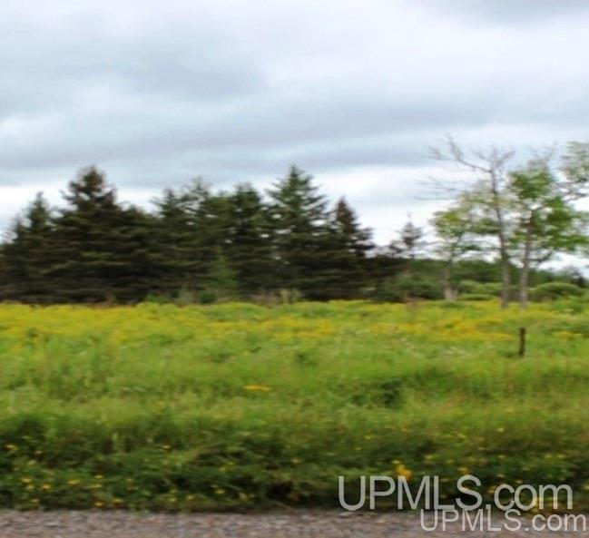 Tbd North Angeli Road, Unit 15 Iron River, MI 49935 - Photo 4 of 15