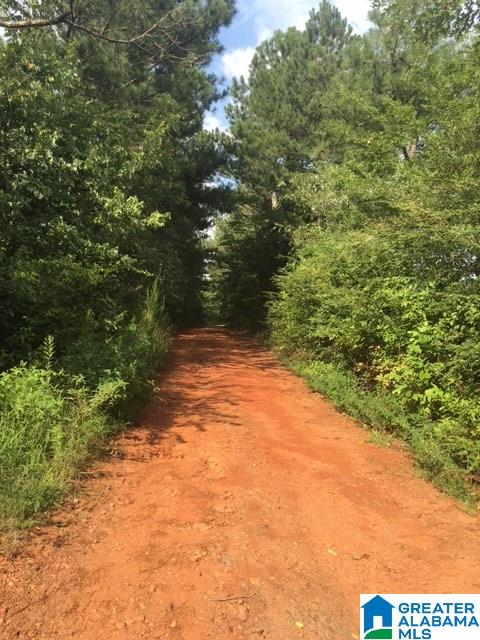 624 County Road, Unit 19 Woodland, AL 36280 - Photo 5 of 6