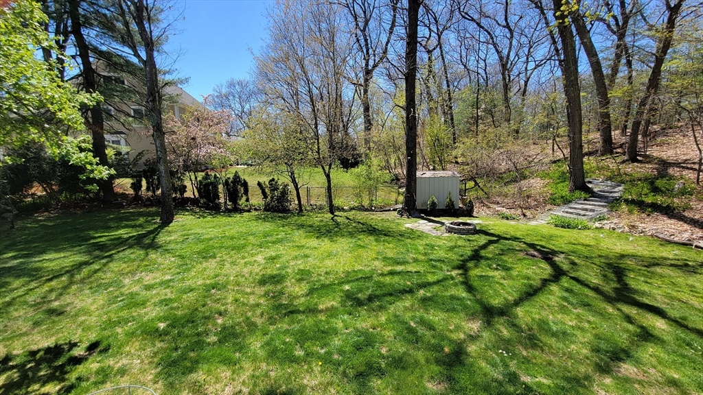 31 Hunnewell Street, Unit 31 Needham, MA 02494 - Photo 11 of 21 a view of backyard with green space