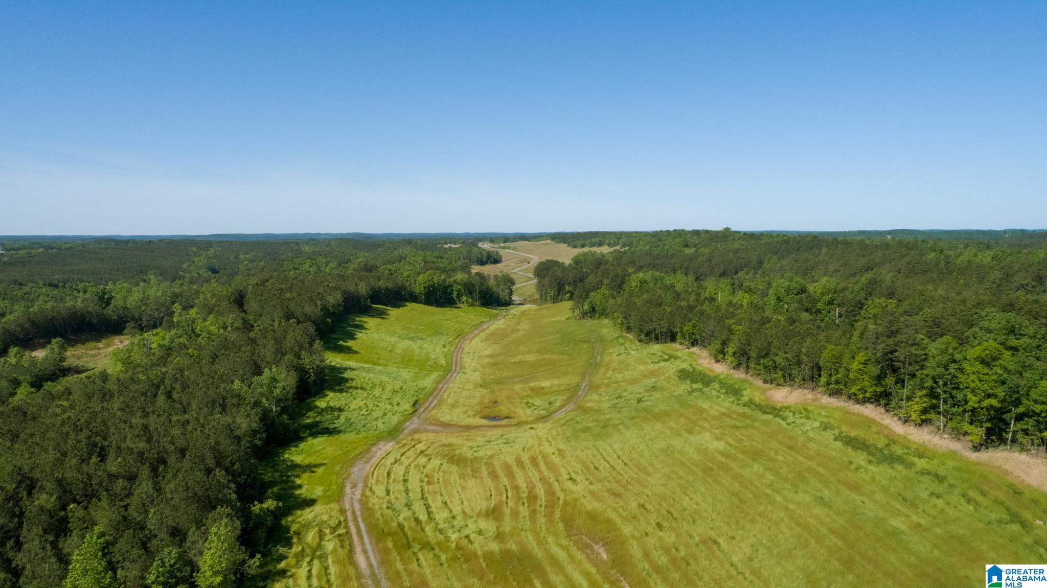 Weller Road Weller Road, Unit 80 Brookwood, AL 35444 - Photo 2 of 6 Gallery Image 2