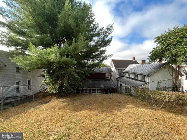 a view of a backyard with plants and a large tree