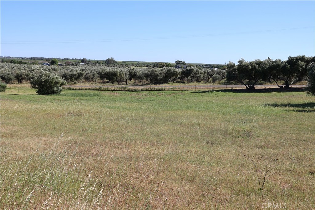 0 Carona Avenue Corning, CA 96021 - Photo 12 of 32