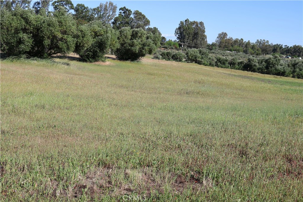 0 Carona Avenue Corning, CA 96021 - Photo 14 of 32