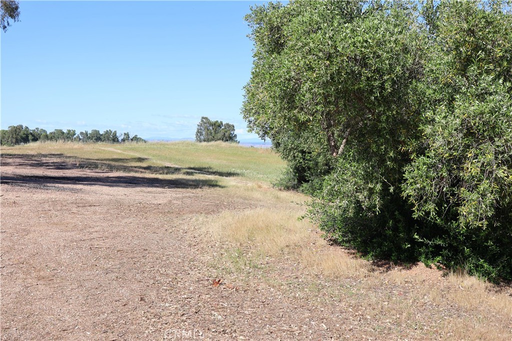 0 Carona Avenue Corning, CA 96021 - Photo 20 of 32