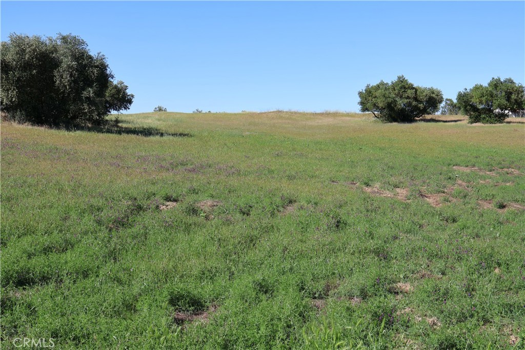 0 Carona Avenue Corning, CA 96021 - Photo 24 of 32