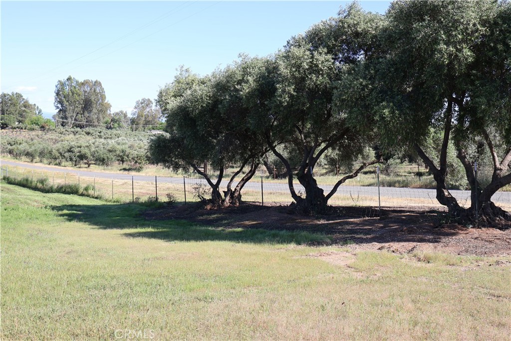 0 Carona Avenue Corning, CA 96021 - Photo 5 of 32