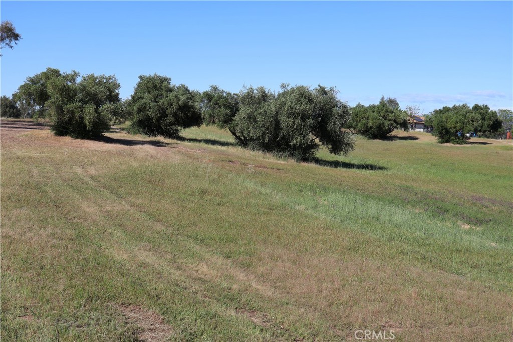 0 Carona Avenue Corning, CA 96021 - Photo 7 of 32