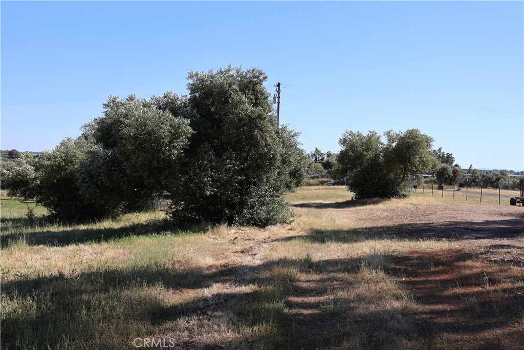 0 Carona Avenue Corning, CA 96021 - Photo 8 of 32