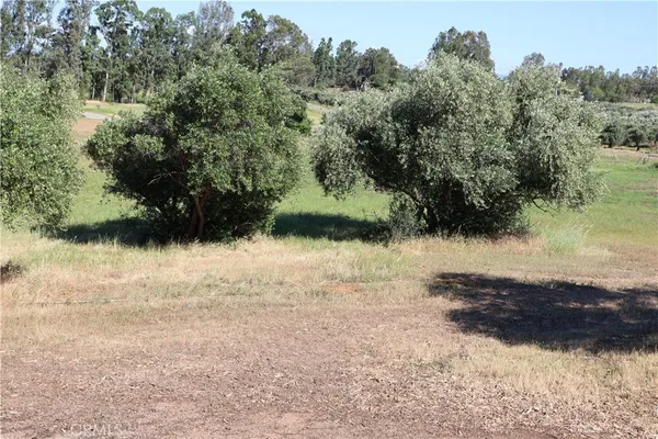 $125,000 | 0 Carona Avenue, Corning, CA 96021