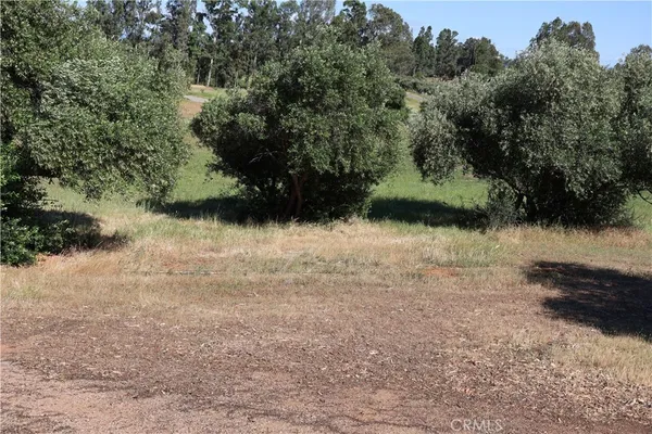 $125,000 | 0 Carona Avenue, Corning, CA 96021