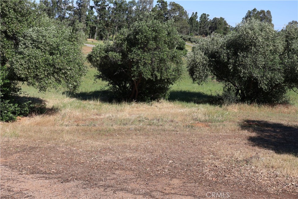 0 Carona Avenue Corning, CA 96021 - Photo 10 of 32