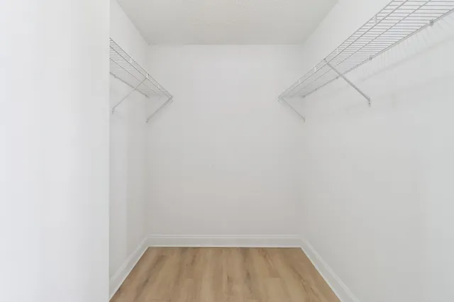 a view of a yard with plants and palm trees