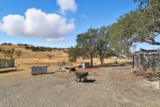 a row of trees and lake view