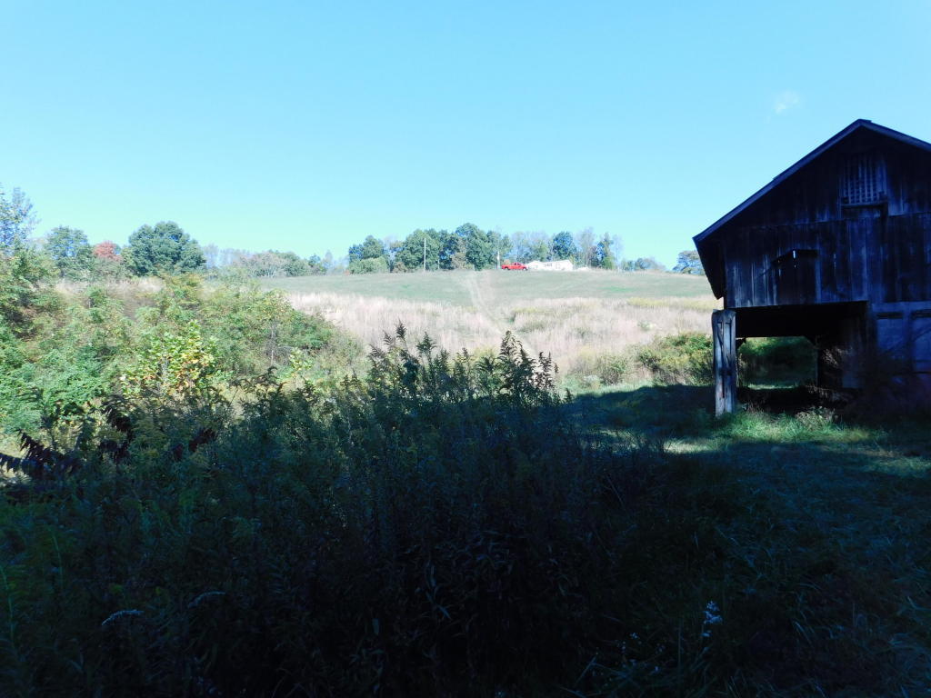 6650 Hopewell Road Harrogate, TN 37752 - Photo 14 of 19 20161013142944414856000000-o